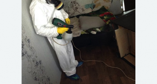 Обработка квартир от насекомых в Брянске