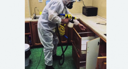 Дезинсекция квартиры. Брянск