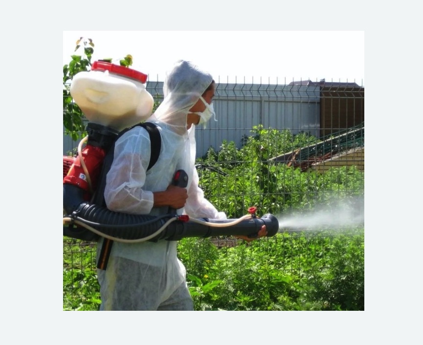 Акарицидная обработка территории в Брянске