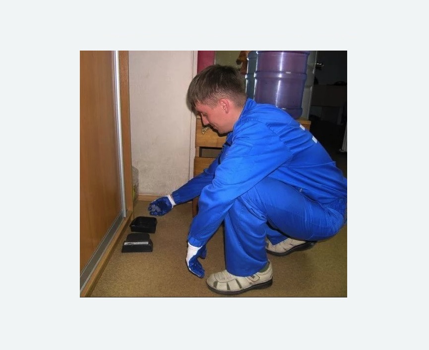 Дератизация крыс в Брянске