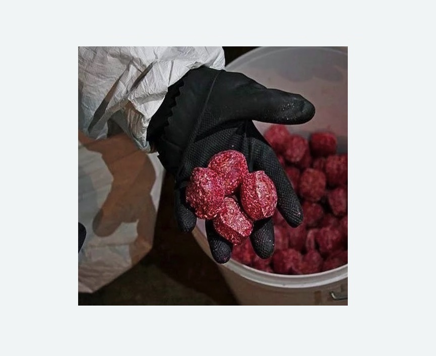 Обработка от крыс в Брянске