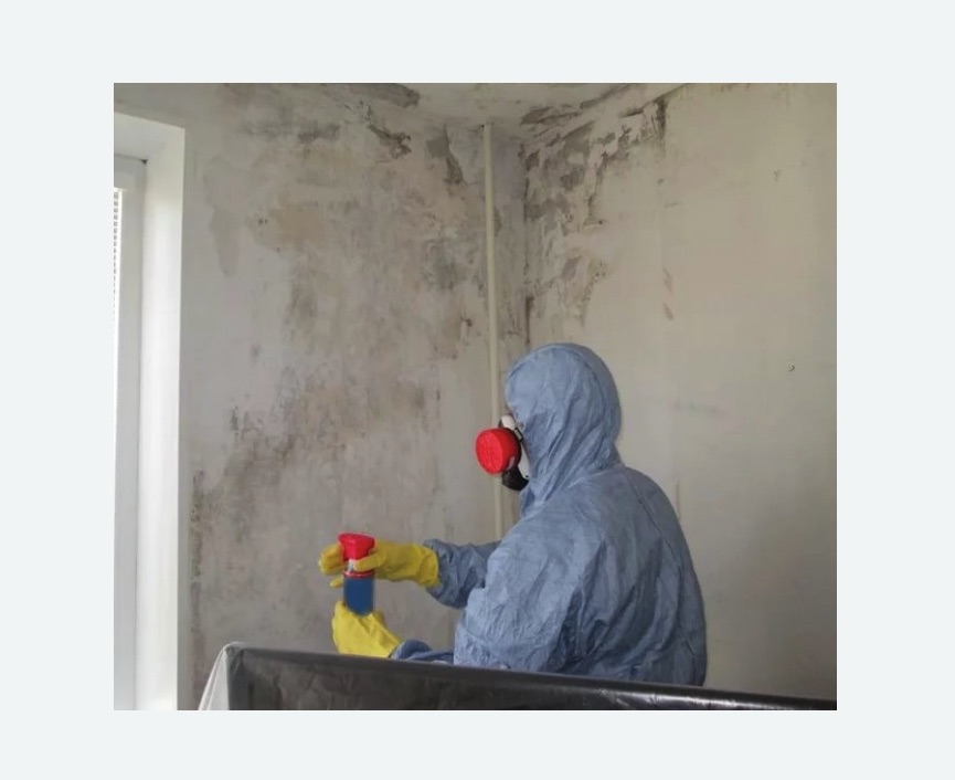 Удаление плесени в квартире в Брянске