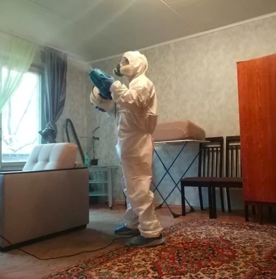 дезинсекция квартиры в Брянске