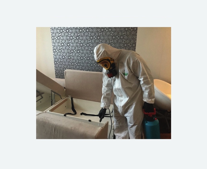 уничтожение клопов в квартире в Брянске