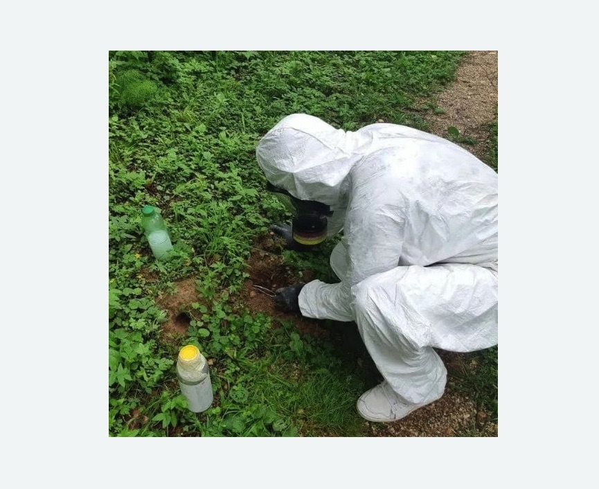 уничтожение кротов на участке в Брянске