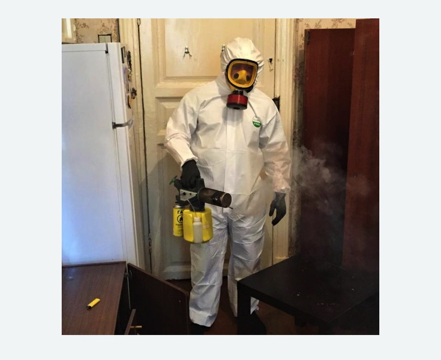 уничтожение муравьев в квартире в Брянске